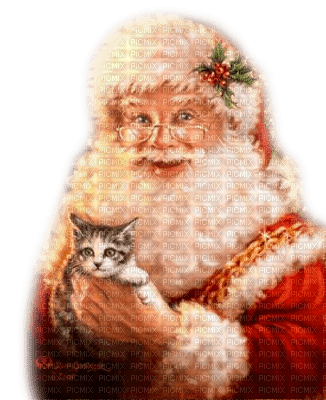 Y.A.M._New Year Santa Claus cat - ücretsiz png