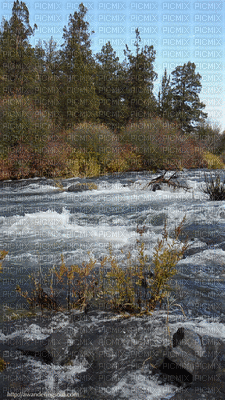 River-NitsaPap - Gratis geanimeerde GIF