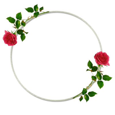 rose/decoration - ingyenes png