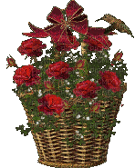 Blume, fleur, flower, rose - Бесплатный анимированный гифка