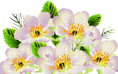 Y.A.M._Summer Flowers Decor - Free animated GIF