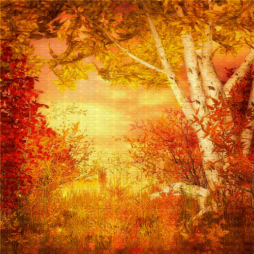 autumn background by nataliplus - δωρεάν png