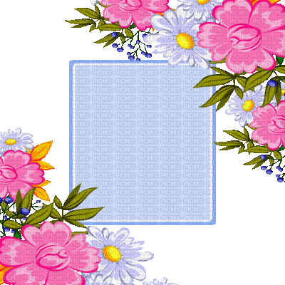 flower fleur fleurs blumen frame cadre spring  overlay tube deco  summer ete  blossom - Безплатен анимиран GIF