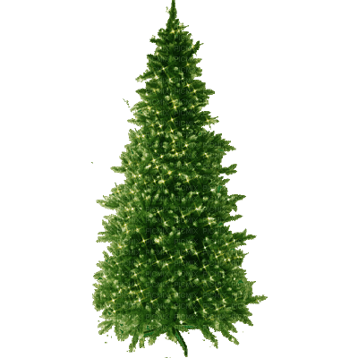 julgran------Christmas tree - png gratis