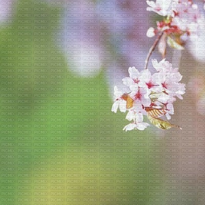 bg-green-flowers - фрее пнг