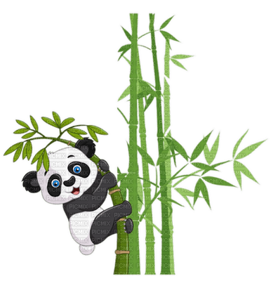 pAnda bear 🐼🐼 bamboo - PNG gratuit