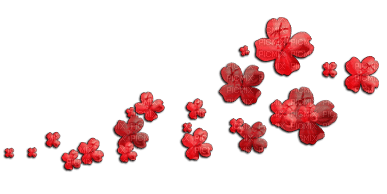 Red Flowers - zdarma png