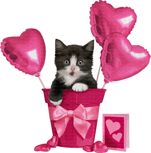 Ballon Coeur Cadeaux Rose Chat:) - png gratis