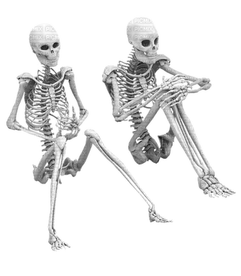 skeleton, luuranko - gratis png