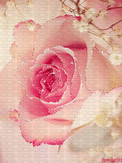 Background Rose - 無料のアニメーション GIF