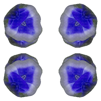 kaleidoscop 3 - Gratis geanimeerde GIF