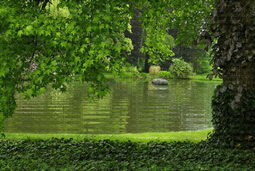 ani--landskap-natur - 免费动画 GIF
