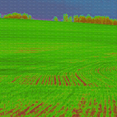 Rainbow Field - Darmowy animowany GIF