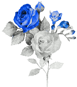 soave deco flowers rose branch animated vintage - 免费动画 GIF
