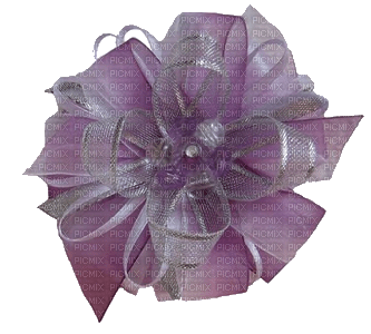 bows-purple-lace - png gratis