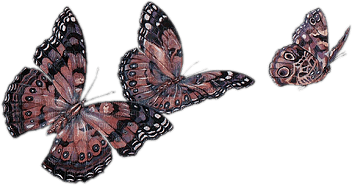 mariposa - ilmainen png
