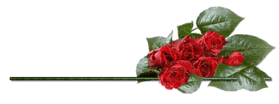 розы - 免费PNG