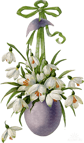 Snowdrop Easter - zdarma png