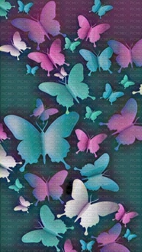 Butterflys - zdarma png