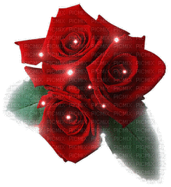 Red roses - Ücretsiz animasyonlu GIF