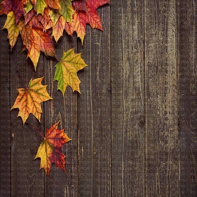 fond autumn automne - gratis png