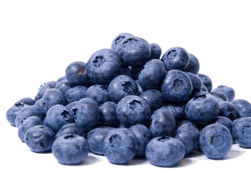 Fruit. Blueberry. Leila - Free PNG