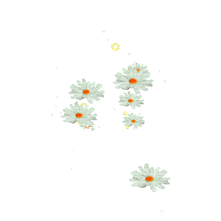 camomille, gif,fleur, Orabel - Darmowy animowany GIF