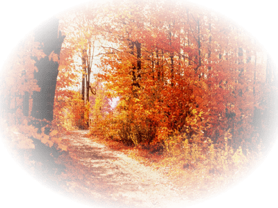 patymirabelle paysage automne - 無料png