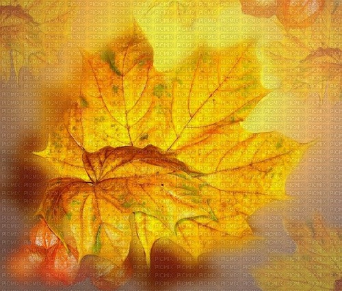 Background Herbst - png ฟรี