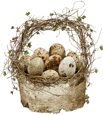 Easter - ücretsiz png