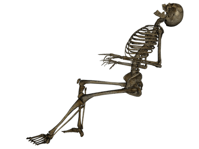 skeleton katrin - δωρεάν png