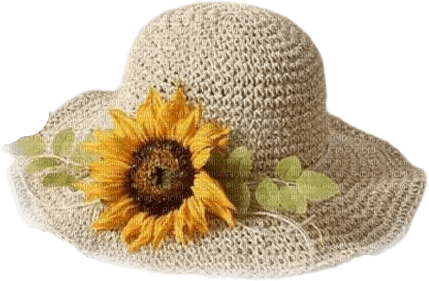 kikkapink deco summer hat sunflower - besplatni png