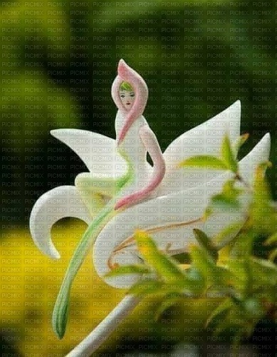 Belle fleur - png grátis