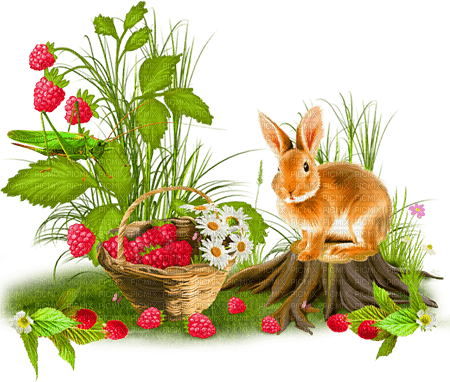 soave deco animals bunny brown green - ücretsiz png