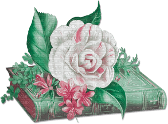 soave deco vintage book flowers rose pink green - δωρεάν png