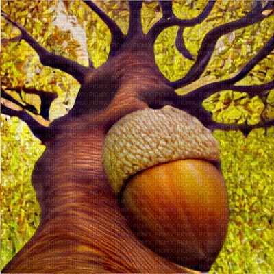 Yellow Forest with GIANT Acorn on Tree - png gratis