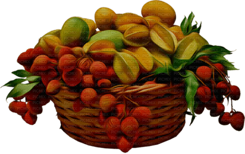 corbeille fruits - zdarma png