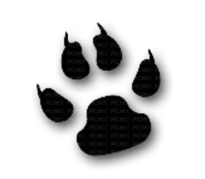cat paws - Free PNG