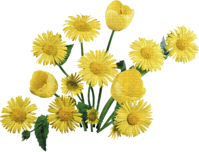 fleur jaune.Cheyenne63 - PNG gratuit
