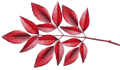 leaves lehdet leave syksy autumn sisustus decor - фрее пнг