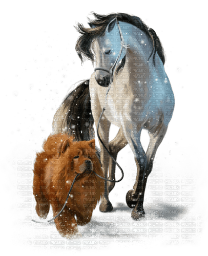 Caballo y perro en la nieve - PNG gratuit