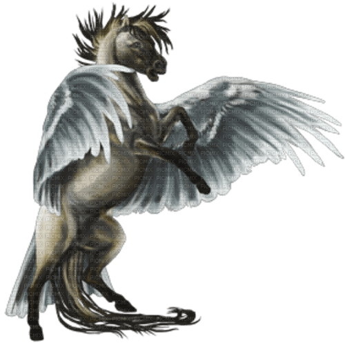 Kaz_Creations Pegasus - ücretsiz png