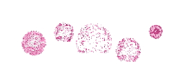 fet rose pink - GIF animasi gratis