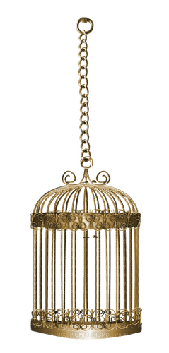 kikkapink deco scrap gold cage - ücretsiz png