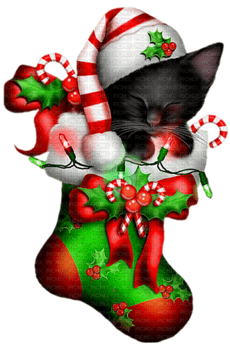 Christmas.Cat.Black.Red.Green - KittyKatLuv65 - png ฟรี