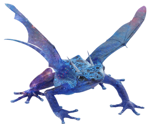 blue dart frog dragon - png ฟรี