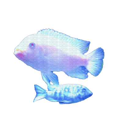 Fish - zadarmo png