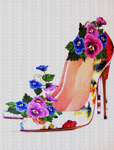 ZAPATO FLORAL - Free PNG