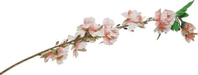 pink flower-minou52 - PNG gratuit