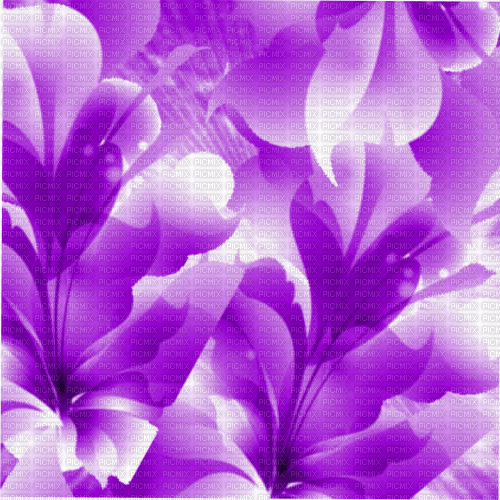 ME / Bg. animated.texture.flower.purple.idca - Zdarma animovaný GIF